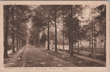 BILTHOVEN - Soestdijksche straatweg, Hotel de Leijen