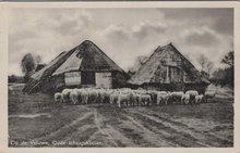 VELUWE - Op de Veluwe. Oude Schaapskooien