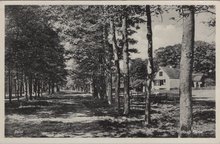 ZEIST - Hoog Kanje