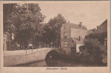 AMERSFOORT - Havik