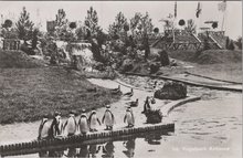 ALPHEN A/D RIJN - Int. Vogelpark Avifauna