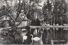 BEEK - t Peeske