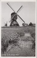 VLIST - Molen in Bonrepas