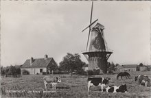 BERGAMBACHT - De Arend molenlaan