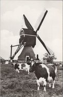 STREEFKERK - Oude Weteringmolen