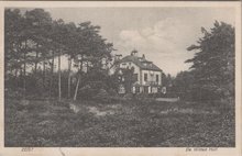 ZEIST - De Witten Hull