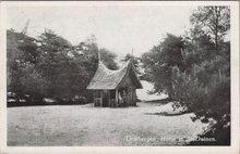 DRIEBERGEN - Hutje in de Duinen