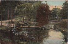 ZEIST - Zeisterbosch