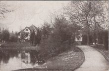 ZEIST - Vijver Wilhelminapark