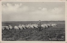 VELUWE - Een bekend groepje