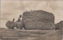 FRYSLÂN - Simmerwaer en drok yn 't hea