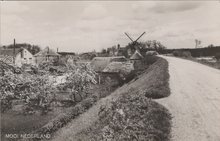 NEDERLAND - Dorpsgezicht vanaf de Dijk