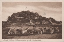 VELUWE - Op de Veluwe - Hunnenschans bij het Uddelermeer