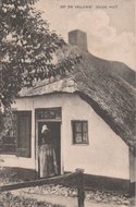 VELUWE - Op de Veluwe' Oude Hut