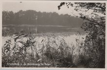 BEILEN - Schurenberg in de Staatsbossen bij Beilen