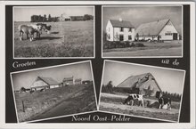 NOORD OOST-POLDER - Meerluik Groeten uit de Noord Oost-Polder