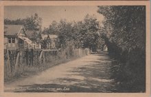 OOSTVOORNE AAN ZEE - Laantje in het Gors