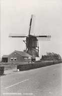 MIJNSHEERENLAND - Oostmolen