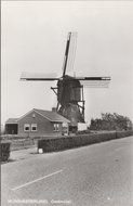 MIJNSHEERENLAND - Oostmolen