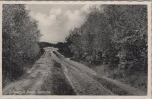 APPELSCHA - Schapedrift Duinen