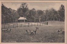 ZEIST - Hertenkamp