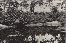 ZEIST - Zeister Bosch