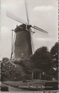 ULVENHOUT - Molen De Korenbloem