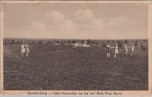 SOESTERBERG - 1ste Heuveltje op de hei Ned. Prot. Bond