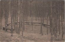 SOESTERBERG - De beroemde kuil in het Bondsbosch