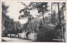 NUNSPEET - Paddestoelweg