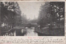 ZEIST - Vijver in 't Bosch