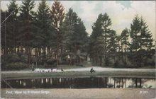 ZEIST - Vijver bij 't Groene Bergje