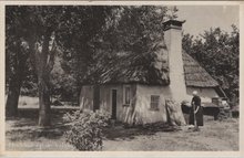 VELUWE - Heidehut op de Veluwe