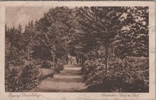 BERG EN DAL - Opgang Duivelsberg