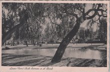 LAREN (GOOI) - Oude boomen a. d. Brink
