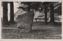 DELDEN - De dikke Steen