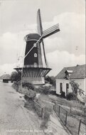 HAAFTEN - Molen De Blauwe Reiger