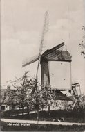 HERVELD - Molen