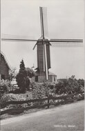 HERVELD - Molen