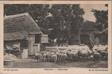 VIERHOUTEN - Op de Veluwe Saxenheim - Vierhouten Bij de Schaapskooi