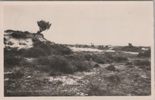 DROUWENERZAND - Mooi Drenthe. Ongerepte natuur