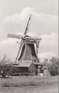 VOORST - Korenmolen De Zwaan Ao. 1904