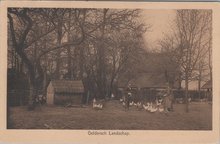 GELDERLAND - Geldersch Landschap