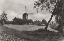 ZEDDAM - MONTFERLAND - Panorama op Berg torenmolen