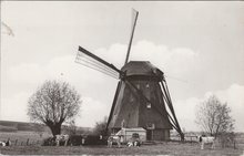 WADENOIJEN - Poldermolen, Ao. 1888