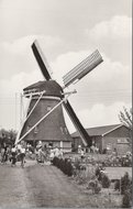 WENUM - korenmolen, Ao. 1913