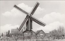 HERVELD - Korenmolen