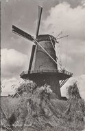 RUURLO - Molen