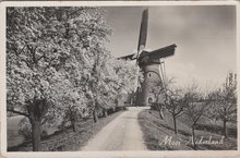 NEDERLAND - Mooi Nederland. Molen