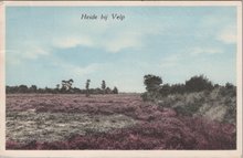 VELP - Heide bij Velp